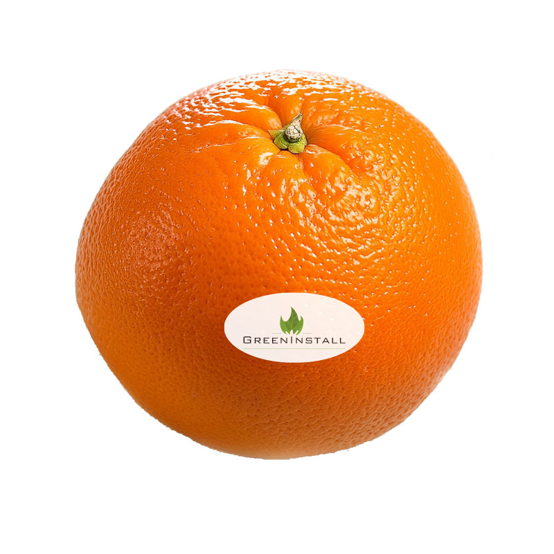 Sinaasappel met sticker | Eco geschenk