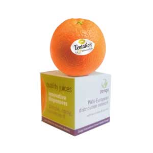 Sinaasappels in doosje | Eco geschenk